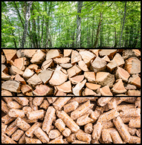 Pelletpresse Material Holz